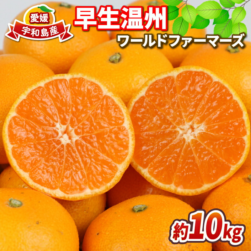 【ふるさと納税】 みかん 早生 温州みかん 10kg ワールドファーマーズ 先行予約 早生温州 温州みかん 早生みかん ミカン mikan 愛媛みかん 愛媛蜜柑 愛媛ミカン 吉田みかん 宇和島みかん 果物 くだもの フルーツ 柑橘 蜜柑 産地直送 数量限定 国産 愛媛 宇和島 B012-024001