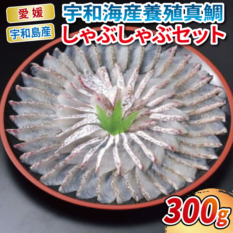 【ふるさと納税】 ＼10営業日以内発送／ 鯛しゃぶ 宇和海産 真鯛 しゃぶしゃぶ セット エビス 真鯛しゃぶしゃぶ 用 300g ポン酢 80ml 鯛 マダイ タイ 冷凍 養殖 海の幸 魚 さかな 魚介 魚貝 加工品 アレンジ 産地直送 国産 愛媛 愛媛県 宇和海 宇和島 D020-047002