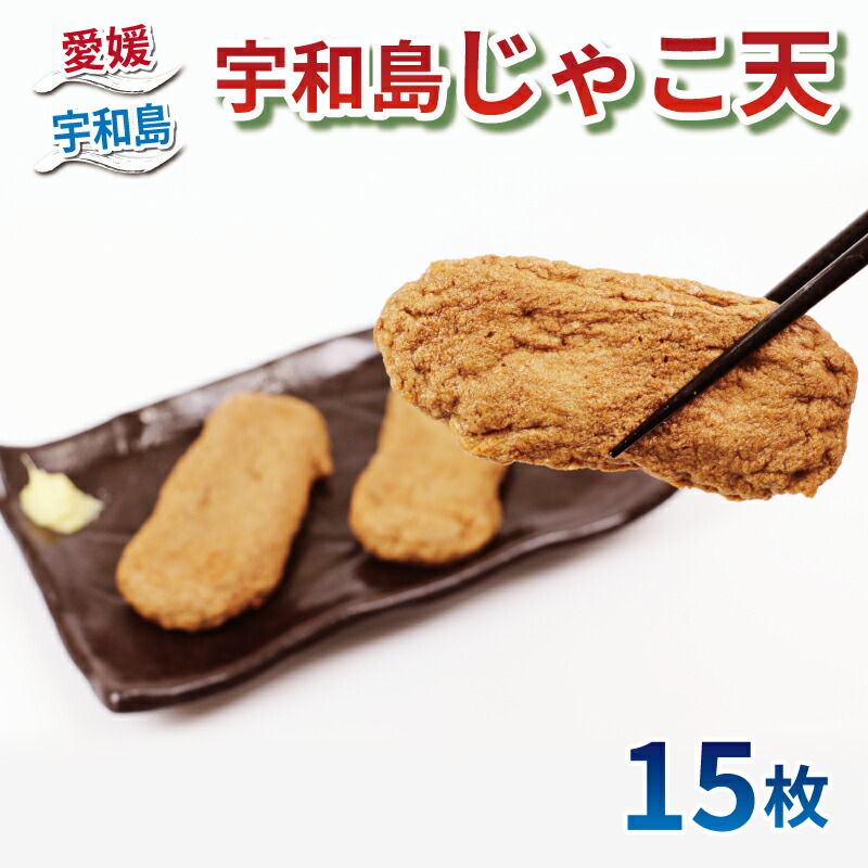 【ふるさと納税】 \10営業日以内発送/ 宇和島じゃこ天 じゃこ天 15枚 薬師神かまぼこ 小魚 練り物 さつま揚げ かまぼこ 揚げかまぼこ 天ぷら てんぷら かまぼこ 蒲鉾 カマボコ 冷蔵 惣菜 小分け 酒 おつまみ 加工品 特産品 郷土料理 お中元 国産 愛媛 宇和島 C012-019001
