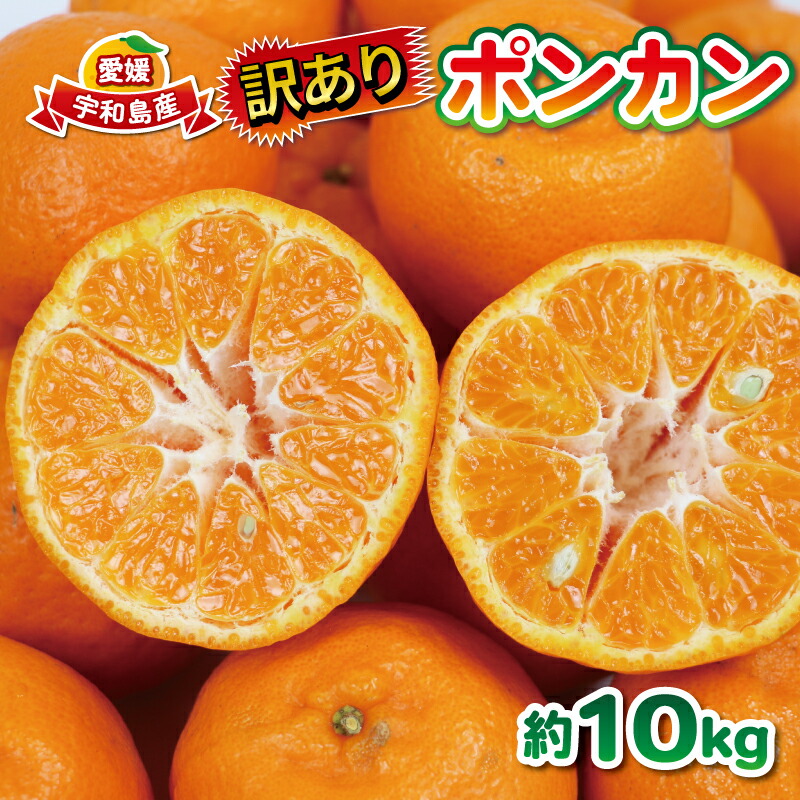 【ふるさと納税】 ポンカン 訳あり ぽんかん 10kg 大田農園 みかん 先行予約 果物 フルーツ 柑橘 みかん ミカン mikan 愛媛みかん 愛媛ミカン 愛媛密柑 密柑 ジューシー 爽やか 果物 くだもの デザート ビタミン 数量限定 産地直送 農家直送 国産 愛媛 宇和島 B012-121001