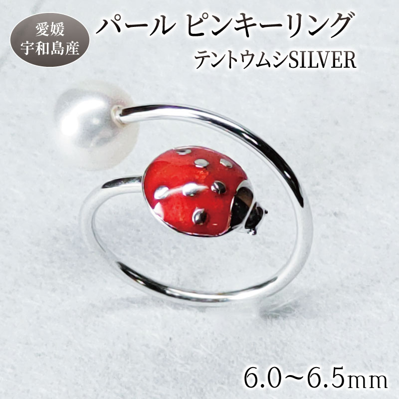 【ふるさと納税】 SV パール ピンキーリング テントウムシ 6.0-6.5mm 暁工房 母の日 父の日 リング 指輪 真珠 シルバー アクセサリー アコヤ真珠 本真珠 ファッション カジュアル お祝い ギフト プレゼント 贈り物 贈答 人気 特産品 国産 愛媛 宇和島 A040-002022