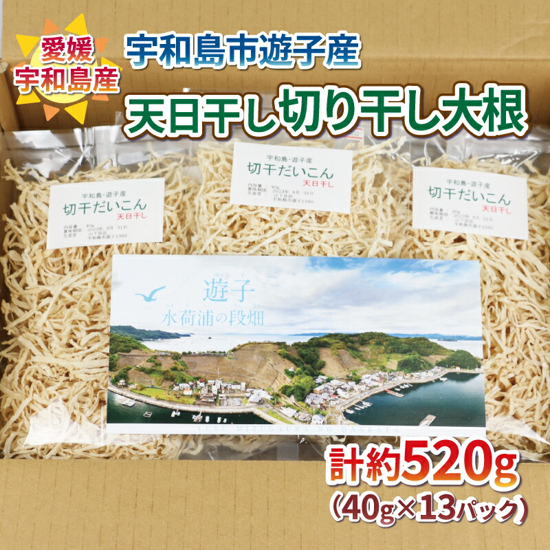 【ふるさと納税】 切り干し大根 小分け 520g NPO法人段畑を守ろう会 切干大根 天日干し 宇和島市遊子産 パック 大根 野菜 根菜 おかず 簡単 料理 農家直送 産地直送 数量限定 国産 愛媛 宇和島 F010-051004