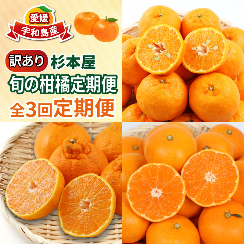 【ふるさと納税】 みかん定期便 訳あり 柑橘定期便 全3回 杉本屋 わけあり 完熟みかん 柑橘  みかん ポンカン 不知火 完熟 温州みかん mikan 愛媛みかん愛媛ミカン 愛媛蜜柑 早生温州 温州 甘い 果物 フルーツ 柑橘 蜜柑  産地直送 数量限定 国産 愛媛 宇和島 B030-143013