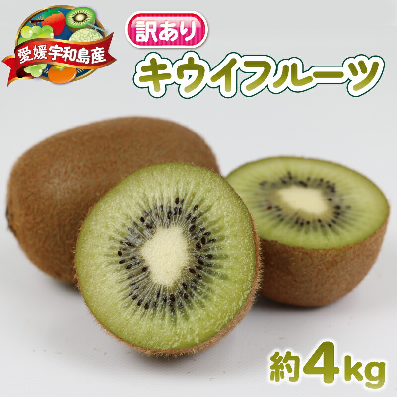 【ふるさと納税】 訳あり キウイ フルーツ 4kg  杉本屋 わけあり グリーンキウイ ヘイワード キウイフルーツ デザート スイーツ 先行予約 果物 くだもの サイズ 不揃い 訳アリ 訳あり品 訳有 愛媛県産 キウィ キウィフルーツ 産地直送 数量限定 国産 愛媛 宇和島 F010-143002
