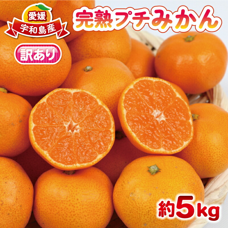 【ふるさと納税】 みかん 訳あり 完熟 プチ みかん 早生みかん 5kg 杉本屋 完熟みかん mikan わけあり 小玉みかん 小みかん 愛媛みかん 愛媛蜜柑 温州 早生温州 温州みかん 果物 くだもの フルーツ 柑橘 みかん 蜜柑 産地直送 数量限定 国産 愛媛 宇和島 B010-143003