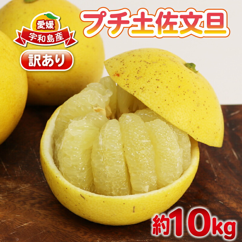 楽天市場】【ふるさと納税】 訳あり 土佐文旦 7kg みかん 蜜柑 文旦