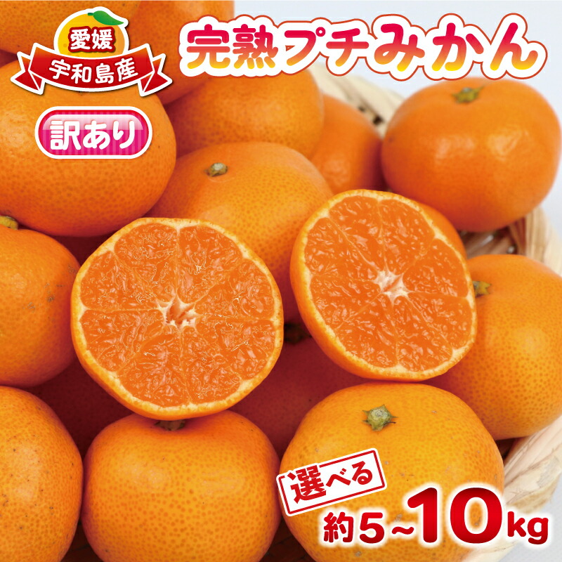 【ふるさと納税】 小玉 みかん 数量限定 訳あり 完熟 プチ ミカン 選べる 内容量 5kg ~10kg 杉本屋 先行予約 完熟みかん mikan わけあり 小玉みかん 小みかん 愛媛みかん 愛媛蜜柑 温州 温州みかん 果物 フルーツ 柑橘 産地直送 国産 愛媛 宇和島｜愛媛県宇和島市
