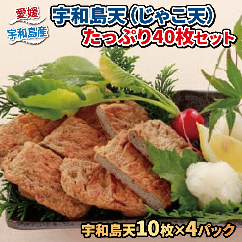 【ふるさと納税】 ＼10営業日以内発送／ じゃこ天 計40枚 10枚 × 4 パック 小林フーズ 宇和島天 すり身 冷蔵 プレゼント ギフト 惣菜 練り物 練物 さつま揚げ 蒲鉾 かまぼこ じゃこカツ フライ 小分け 郷土料理 酒 おつまみ 肴 加工品 特産品 国産 愛媛 宇和島 C012-070001