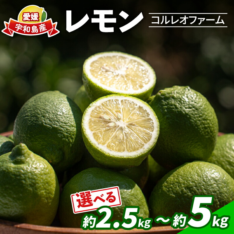 【ふるさと納税】 レモン 選べる 内容量 2.5kg ~ 5kg コルレオファーム 国産 防腐剤 ・ ワックス 不使用 国産レモン 青レモン れもん remon 檸檬 果物 くだもの ビタミン サワー ジュース チューハイ 健康 フルーツ 柑橘 農家直送 産地直送 数量限定 愛媛 宇和島 7,300円