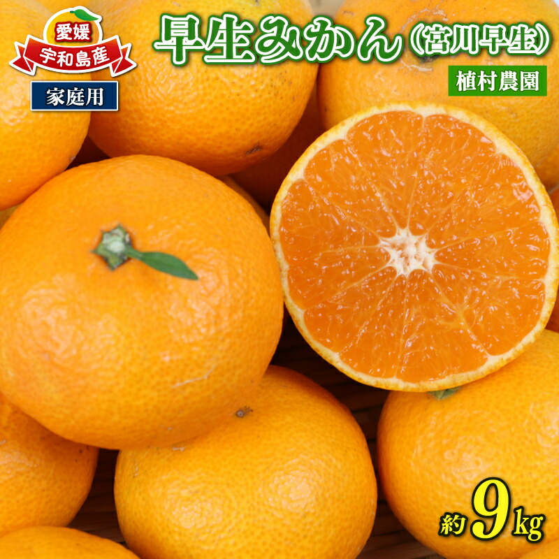 【ふるさと納税】 愛媛みかん 早生みかん 宮川早生 9kg 家庭用 植村農園 先行予約 温州蜜柑 温州みかん mikan 愛媛ミカン 愛媛蜜柑 愛媛みかん 温州 早生温州 早生 蜜柑 果物 くだもの フルーツ 柑橘 農家直送 産地直送 数量限定 国産 愛媛 愛媛産 宇和島 B010-153003｜愛媛県宇和島市 7,100円