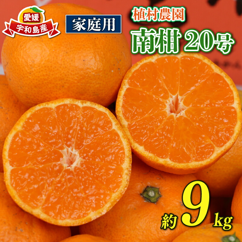 【ふるさと納税】 温州みかん  南柑20号 9kg 家庭用 植村農園 先行予約 mikan みかん 温州蜜柑 愛媛ミカン 愛媛蜜柑 愛媛みかん 温州 蜜柑 果物 くだもの フルーツ 柑橘 農家直送 産地直送 数量限定 国産 愛媛 愛媛産 宇和島 B010-153004