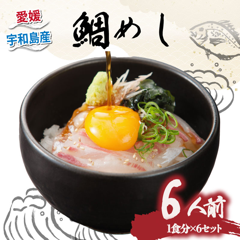 【ふるさと納税】 鯛めし 6食 セット 有限会社 アクアプラス 生鯛めし 真鯛 鯛 マダイ タイ tai 刺身 お刺身 刺し身 丼 丼ぶり 海鮮丼 郷土料理 鯛飯 海鮮 人気 海の幸 魚介 人気加工品 冷蔵 小分け パック お手軽 産地直送 国産 愛媛 宇和島 D020-090004