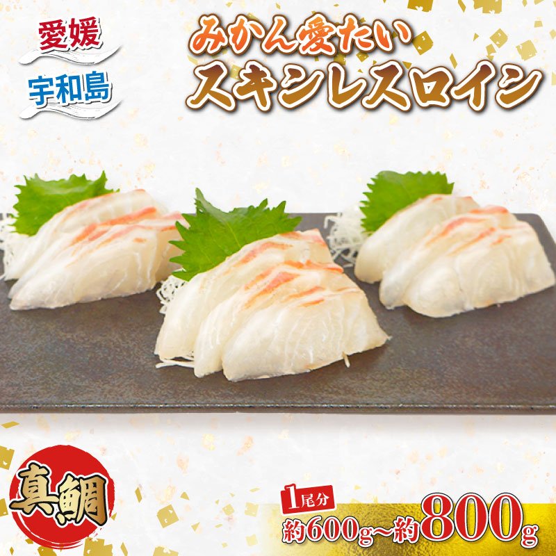 【ふるさと納税】 ＼10営業日以内発送／ 真鯛 みかん愛たい１尾 スキンレスロイン 600ｇ～800ｇ 南予ビージョイ お刺身 ロイン 鯛しゃぶ カルパッチョ 鯛めし 鯛茶漬け お取り寄せ 新鮮 鍋 海鮮鍋 冷蔵 個包装 鮮魚 海の幸 魚介 国産 愛媛 宇和島 D014-150012