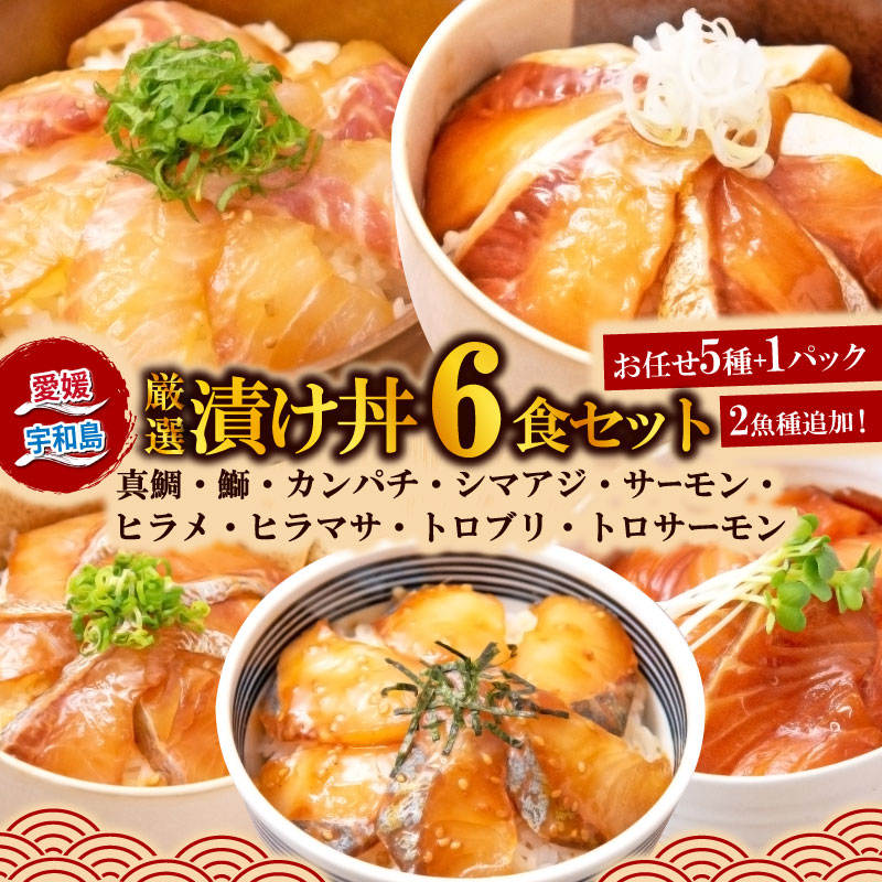 【ふるさと納税】 海鮮丼 漬丼 厳選 活締め 全9種 漬け丼 6食 セット 南予ビージョイ 鮭 サーモン 鰤 ブリ 真鯛 鯛 カンパチ 縞鯵 シマアジ あじ ヒラメ ヒラマサ 漬け丼 人気 加工品 海鮮 刺身 時短 米 コメ こめ お手軽 国産 愛媛 宇和島 D010-150005 7,200円