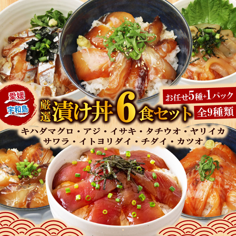 【楽天市場】【ふるさと納税】 漬丼 厳選 活締め 全9種 お任せ 天然 漬け丼 6食 セット 南予ビージョイ 5種 + 1パック キハダマグロ アジ イサキ タチウオ ヤリイカ サワラ イトヨリダイ チダイ カツオ 食べ比べ 人気 時短 米 コメ こめ お手軽 愛媛 宇和島 D010-150018:愛媛県宇和島市