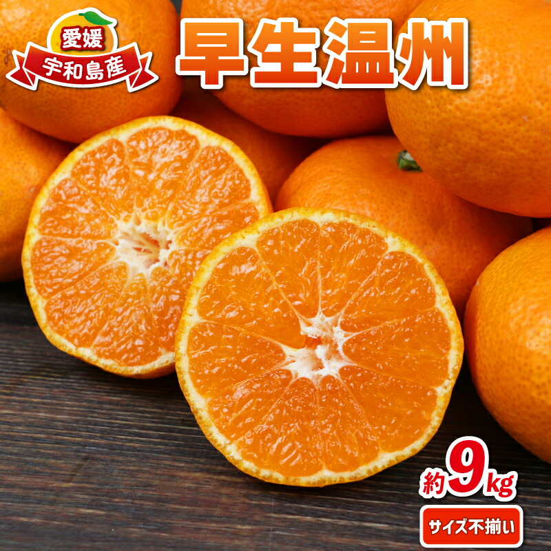 【ふるさと納税】 愛媛みかん 早生温州 9kg サイズ不揃い ミックス 兵頭農園 みかん mikan 愛媛ミカン 愛媛蜜柑 早生 温州 温州みかん 精品 規格外混合 不揃い 果物 くだもの フルーツ 柑橘 蜜柑 産地直送 農家直送 数量限定 国産 愛媛県産 愛媛 宇和島 B012-055001