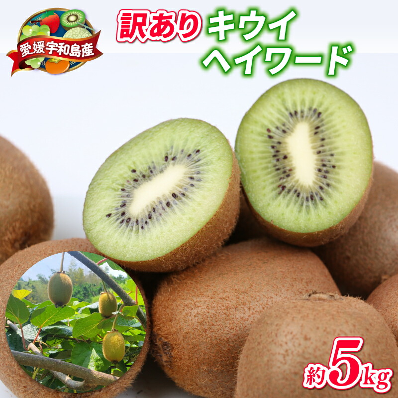 【ふるさと納税】 訳あり キウイ フルーツ 5kg 吉田農園 グリーンキウイ ヘイワード キウイフルーツ デザート スイーツ 果物 くだもの 訳アリ 訳あり品 訳有り わけあり 農家直送 産地直送 数量限定 国産 愛媛 宇和島 F012-160003|愛媛県宇和島市