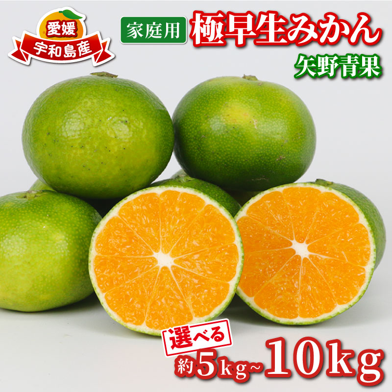 【ふるさと納税】 家庭用 極早生 みかん 選べる 容量 5kg ~ 10kg 矢野青果 温州みかん 果物 くだもの フルーツ 柑橘 蜜柑 愛媛蜜柑 愛媛みかん 愛媛ミカン mikan 産地直送 数量限定 国産 愛媛 宇和島|愛媛県宇和島市