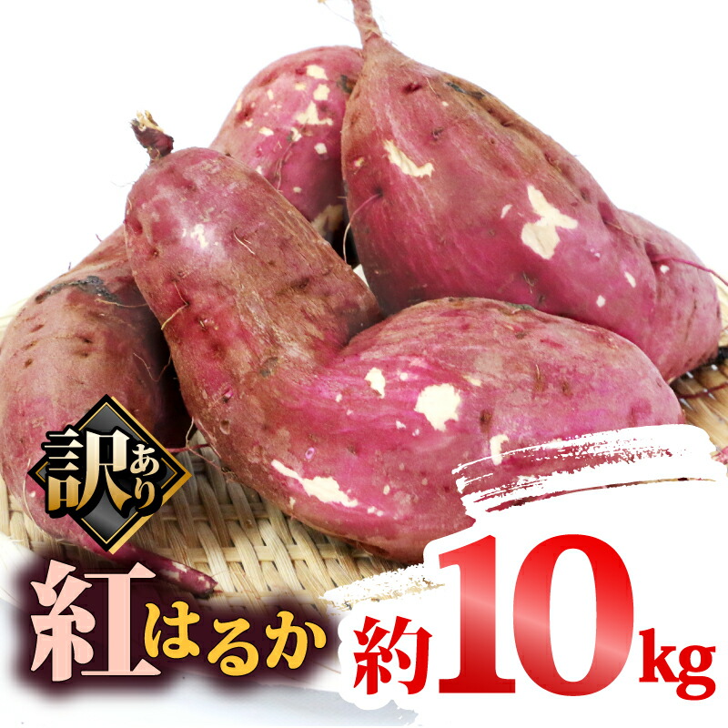 【ふるさと納税】 訳あり さつまいも 紅はるか 10kg 大森城山麓園 わけあり さつま芋 サツマイモ 野菜 やさい 栽培期間中 農薬 不使用 根菜 イモ 芋 訳アリ 訳あり品 訳有り わけあり 産地直送 農家直送 数量限定 国産 愛媛 宇和島 F010-181002