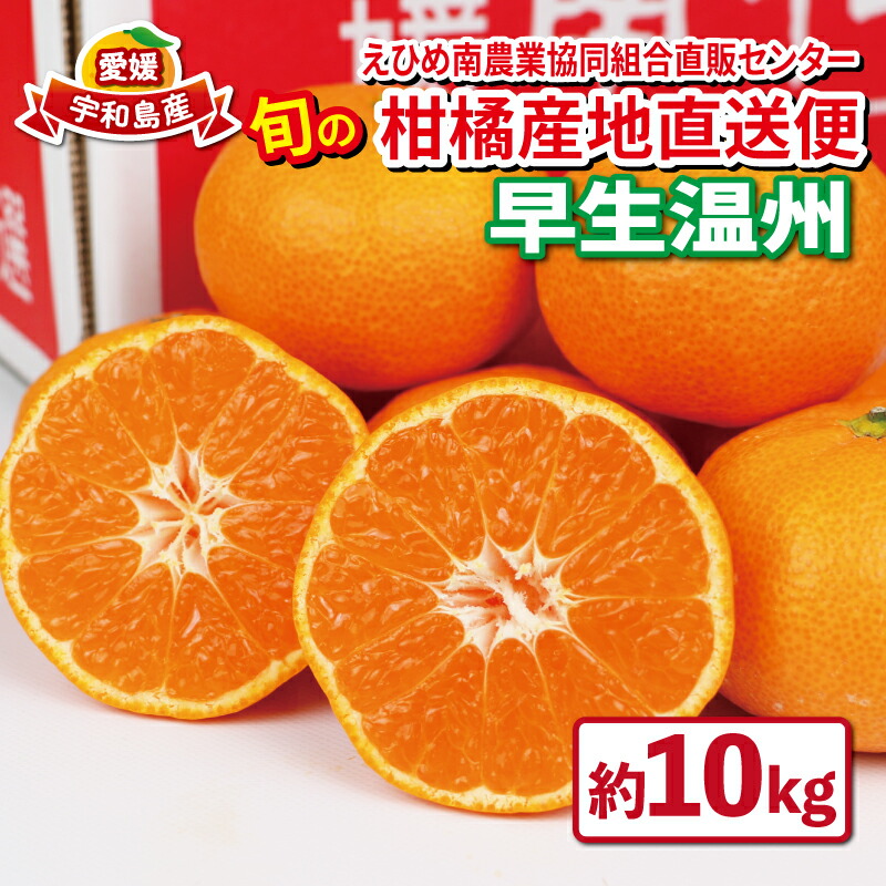 【ふるさと納税】 愛媛みかん 優品 早生温州 10kg 先行予約 えひめ南農業協同組合直販センター JA 早生 温州 温州みかん mkan 蜜柑 果物 くだもの フルーツ 柑橘 愛媛ミカン 愛媛蜜柑 農家直送 産地直送 数量限定 国産 愛媛 宇和島 B020-009001