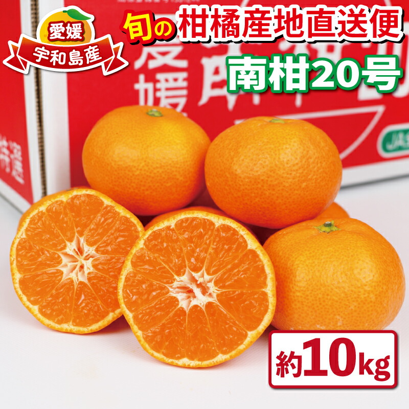 【ふるさと納税】 愛媛 みかん 優品 南柑20号 10kg 先行予約 えひめ南農業協同組合直販センター JA 温州みかん mkan 蜜柑 果物 くだもの フルーツ 柑橘 愛媛ミカン 愛媛蜜柑 農家直送 産地直送 数量限定 国産 愛媛 宇和島 B020-009002