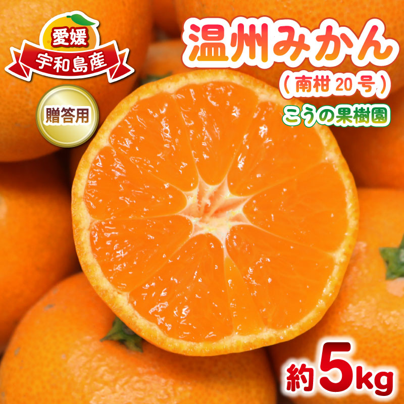 【ふるさと納税】 贈答用 南柑20号 みかん 5kg M～L サイズ こうの果樹園 温州みかん 温州 愛媛みかん 愛媛蜜柑 愛媛ミカン うんしゅう みかん ミカン 蜜柑 mikan 果物 フルーツ 柑橘 甘い 甘味 産地直送 農家直送 数量限定 国産 愛媛 宇和島 B010-182010｜愛媛県宇和島市