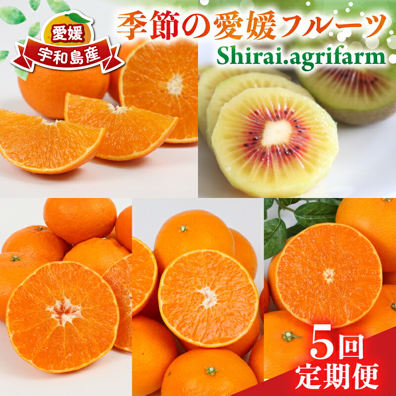 【ふるさと納税】 季節の 愛媛フルーツ 5回定期便 Shirai.agrifarm レッドキウイ 愛果28号 ( 紅まどんな と同品種) 甘平 せとか 愛果48号 フルーツ定期便 みかん定期便 柑橘定期便 みかん 果物 くだもの フルーツ 柑橘 キウイ 産地直送 限定 国産 愛媛 宇和島 B105-115011｜愛媛県宇和島市
