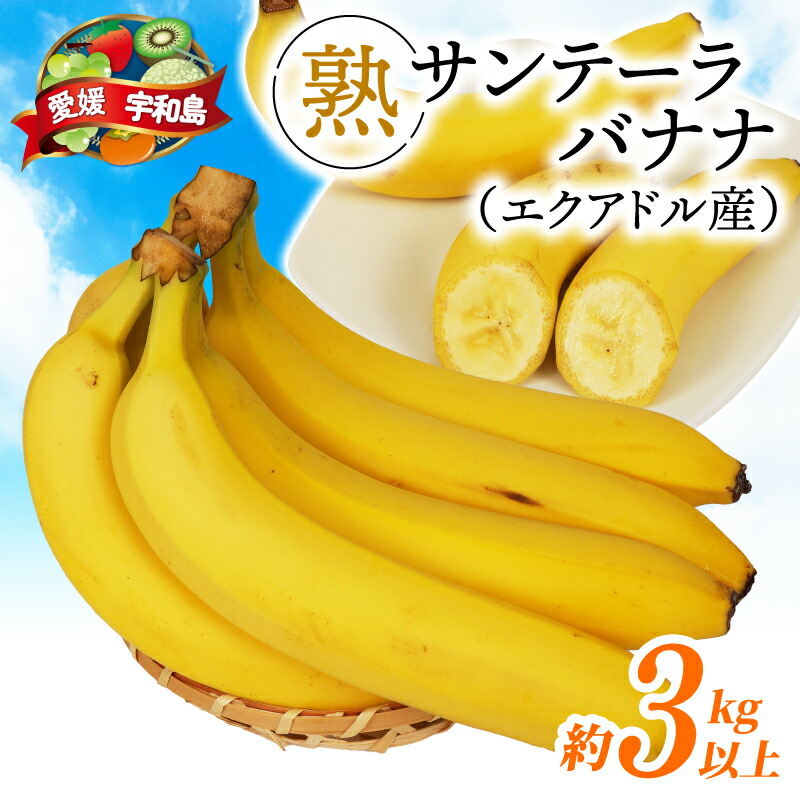 ふるさと納税】 バナナ 熟サンテーラバナナ 計 約3kg ( 600g以上 × 5袋
