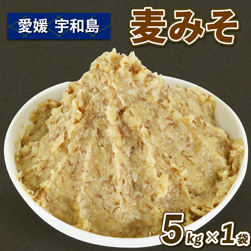 【ふるさと納税】 ＼10営業日以内発送／ 麦みそ 5kg 味噌 みそ 麦味噌 企業組合 津島 あぐり工房 麦みそ 味噌 みそ 加工食品 miso ミソ 麦味噌 発酵 発酵調味料 調味料 味噌汁 みそしる みそ汁 麦 麹 こうじ 数量限定 手作り こだわり 国産 愛媛 宇和島 J012-066005