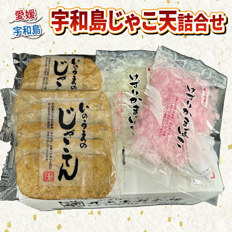 【ふるさと納税】 ＼10営業日以内発送／ 手押し じゃこ天 10枚 けずり蒲鉾 2袋 詰合せ 井上蒲鉾本舗 手押しじゃこ天 手作り 蒲鉾 けずりかまぼこ かまぼこ 冷蔵 小魚 すり身 練り物 さつま揚げ 惣菜 小分け 酒 水産 加工品 特産品 郷土料理 国産 愛媛 宇和島 C010-003001