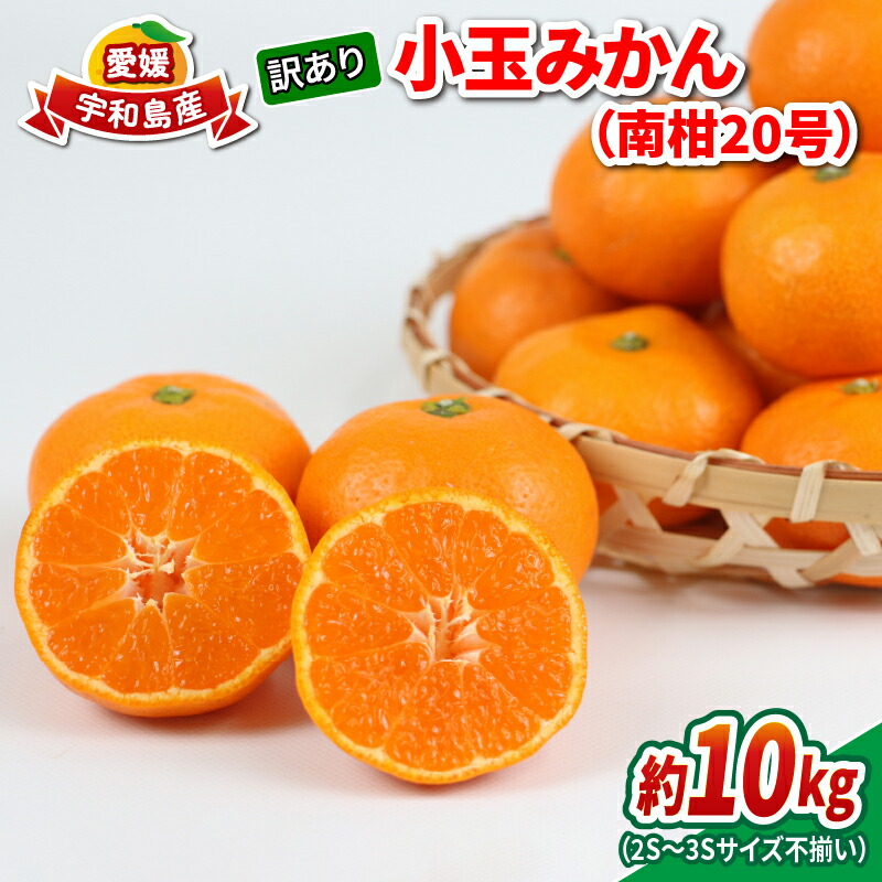 【ふるさと納税】 訳あり 小玉みかん 南柑20号 10kg 2S ～ 3S サイズ不揃い 玉津みかん ニュービジネスユニット 訳アリ 訳あり品 中生 温州みかん 温州 小玉 みかん 小みかん 果物 くだもの フルーツ 柑橘 蜜柑 農家直送 産地直送 数量限定 国産 愛媛 宇和島 B012-058015