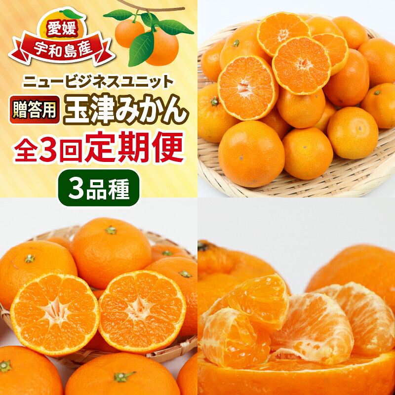 【ふるさと納税】 柑橘 定期便 3回 みかん定期便 贈答用 優品 早生温州 南柑20号 各10kg ポンカン 9kg サイズ不揃い 玉津 ニュービジネスユニット 愛媛みかん 先行予約 温州みかん 果物 フルーツ 柑橘 蜜柑 みかん 農家直送 産地直送 数量限定 国産 愛媛 宇和島 B050-058007｜愛媛県宇和島市