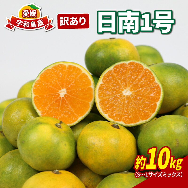 【ふるさと納税】 訳あり 極早生 みかん 日南1号 先行予約 10kg S~L サイズ ミックス 不揃い 玉津みかん ニュービジネスユニット 温州みかん 愛媛みかん 訳アリ 訳あり品 訳有り わけあり 温州 果物 フルーツ 柑橘 農家直送 産地直送 数量限定 国産 愛媛 宇和島 B015-058008