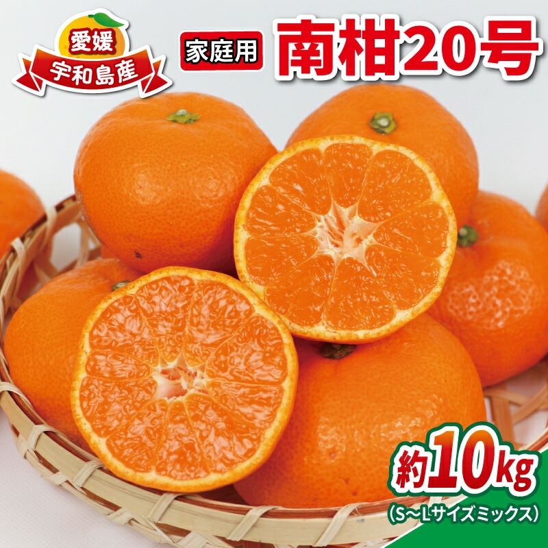 【ふるさと納税】 みかん 10kg 南柑20号 家庭用 S~L サイズ ミックス 玉津みかん ニュービジネスユニット 先行予約 温州 温州みかん 果物 くだもの フルーツ 柑橘 蜜柑 mikan 温州 愛媛蜜柑 愛媛みかん 農家直送 産地直送 数量限定 国産 愛媛 宇和島 B015-058002