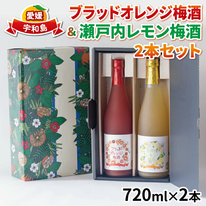 楽天市場】【ふるさと納税】 ＼10営業日以内発送／ ブラッド