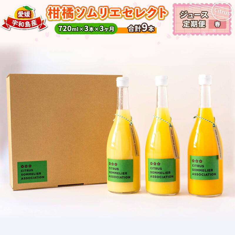 【ふるさと納税】 ジュース定期便 3回 720ml &times; 3本 計9本 セレクト ジュース 柑橘ソムリエ 先行予約 定期便 みかん定期便 3ヶ月 果汁 飲料 柑橘 みかん mikan 蜜柑 みかんジュース ストレートジュース 100%ジュース 果物 くだもの フルーツ 国産 愛媛 宇和島 H040-064002｜愛媛県宇和島市