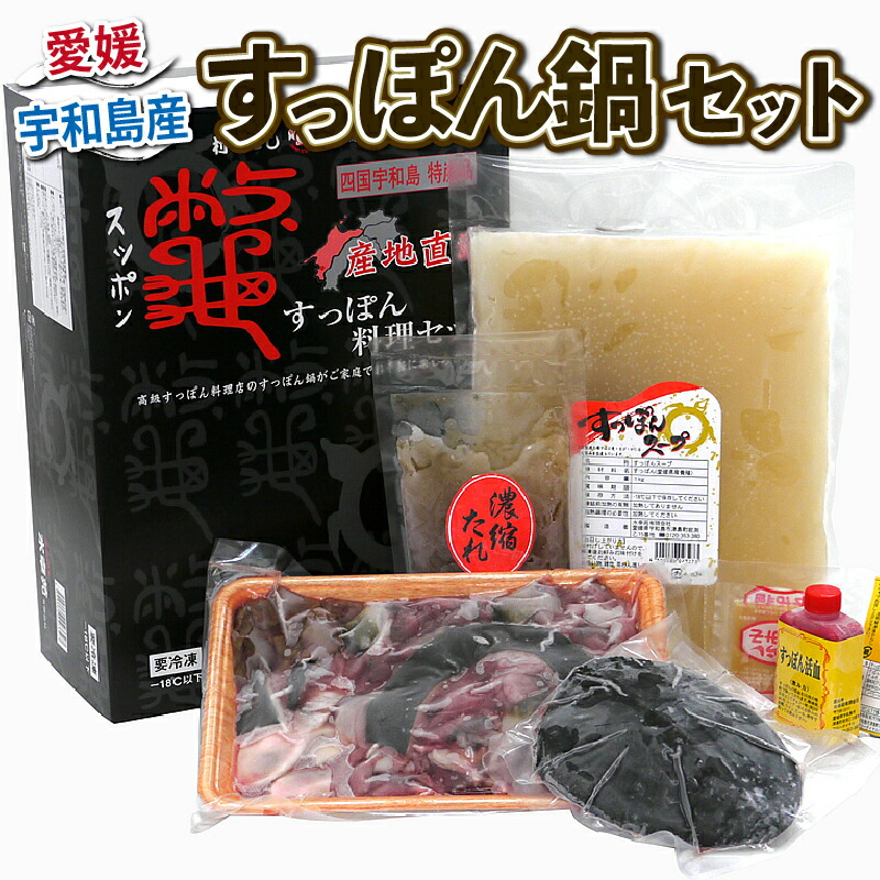 【ふるさと納税】 ＼10営業日以内発送／ すっぽん 料理 セット 精肉 550g 甲羅 120g たれ エンペラー からし酢みそ 活血 スープ 水幸苑 鍋セット カット済み 切り身 簡単調理 冷凍 濃縮 コラーゲン 美容 疲労回復 スタミナ 雑炊 産地直送 国産 愛媛 宇和島 D035-103006