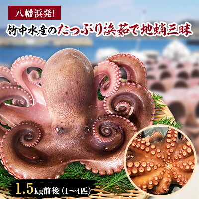 【ふるさと納税】八幡浜発!竹中水産のたっぷり「浜茹で地蛸」三昧!1.5kg前後【F22-189】_ たこ タコ 地たこ 蛸 地蛸 浜ゆで 魚介 魚介類 海鮮 天然 茹で 新鮮 刺身 冷蔵 サラダ 食べ応え 活き 【配送不可地域：離島】【1043154】