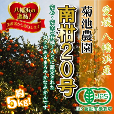 【ふるさと納税】【JAS認証有機栽培】濃厚な味わいの温州みかん!!菊池農園「南柑20号」5kg【C39-23】_ みかん ミカン 柑橘 温州 果物 くだもの フルーツ 旬 愛媛 コク 甘み 国産 産直 産地直送 JAS 有機 有機栽培 JAS認証 果汁 ジューシー 【1044610】