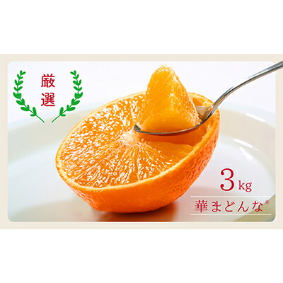 【ふるさと納税】コウ果樹園の「厳選　華まどんな」3kg【D33-8】_ みかん 蜜柑 ミカン 柑橘類 柑橘 フルーツ くだもの 果物 人気 美味しい 愛媛県 八幡浜市 ふるさと 【1056129】