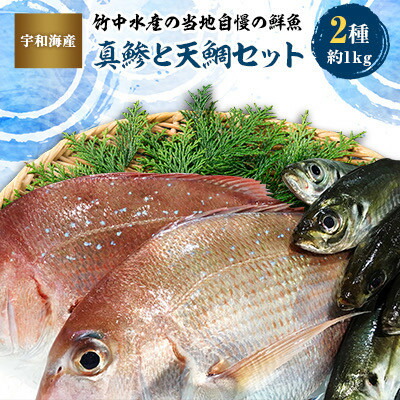 ふるさと納税 八幡浜市 竹中水産の一押し「お任せ鮮魚!」2.5キロ前後 竹中水産の一押し「お手軽鮮魚」1キロ前後＜C22-235＞1073396