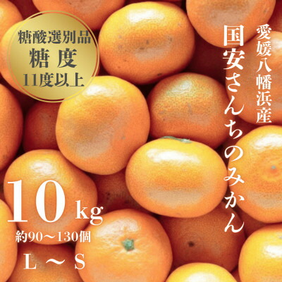 【ふるさと納税】【糖度11度以上 酸1.0以下 糖酸選別品】愛媛みかん 10kg【D20-3】_ みかん ミカン 柑橘 くだもの 果物 フルーツ 甘い 常温 デザート 産地直送 産直 愛媛 【1094602】