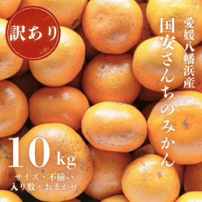 【ふるさと納税】【創業85年 親子4代 愛媛みかん 一筋】訳あり 愛媛みかん 10kg【C20-12】_ 訳アリ わけあり ワケアリミカン みかん フルーツ 果物 くだもの 家庭用 人気 柑橘 かんきつ 不揃い 規格外 傷 愛媛 旬 産地直送 産直 季節限定 【1094603】