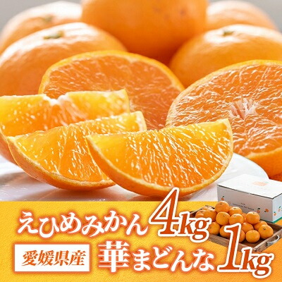 【ふるさと納税】コウ果樹園の「えひめみかん4kg・華まどんな1kg 詰め合せ」【C33-12】_ みかん ミカン 蜜柑 フルーツ 果物 くだもの 人気 美味しい 柑橘類 柑橘 愛媛県 八幡浜市 ふるさと 【1123769】