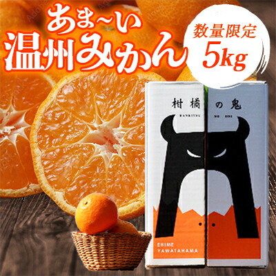 【ふるさと納税】あまーい温州みかん(南柑20号みかん)5kg[数量限定]【C56-7】_ みかん 蜜柑 ミカン フルーツ 果物 くだもの 人気 美味しい 柑橘類 柑橘 愛媛県 八幡浜市 ふるさと 【1128575】