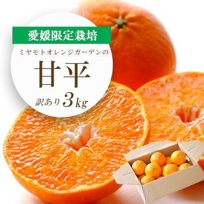 【ふるさと納税】【2026年2月より順次発送】愛媛限定栽培柑橘 甘平(かんぺい)3kg【訳あり】【C25-137】_ 柑橘 柑橘類 みかん ミカン オレンジ フルーツ 果物 くだもの 愛媛県 八幡浜 人気 美味しい ふるさと 【1138005】