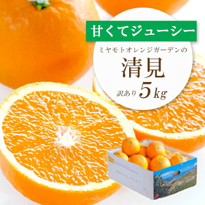 【ふるさと納税】【2025年4月上旬出荷】果汁たっぷり ジューシー清見5kg(訳あり)【C25-138】_ 清見 きよみ 柑橘 かんきつ オレンジ みかん フルーツ 果物 くだもの ふるーつ 産地直送 国産 送料無料 限定 甘い ジューシー 果汁 【配送不可地域：離島】【1138006】