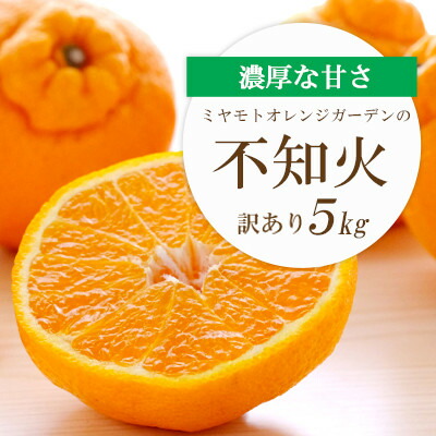 【ふるさと納税】【2026年2月以降発送】デコポンと同品種 濃厚柑橘 不知火5kg【訳あり】【C25-139】_ 訳アリ みかん ミカン しらぬい 愛媛県 フルーツ 果物 くだもの 柑橘 かんきつ 人気 産地直送 産直 ジューシー 甘い 果汁 糖度 甘い 【1138007】