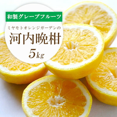 【ふるさと納税】【2025年4月下旬頃出荷】苦味の少ない和製グレープフルーツ 河内晩柑 5kg【C25-130】_ 晩柑 グレープフルーツ 愛媛県 フルーツ 果物 くだもの 柑橘 かんきつ 人気 産地直送 産直 ジューシー 甘い 果汁 糖度 濃厚 【配送不可地域：離島】【1151744】