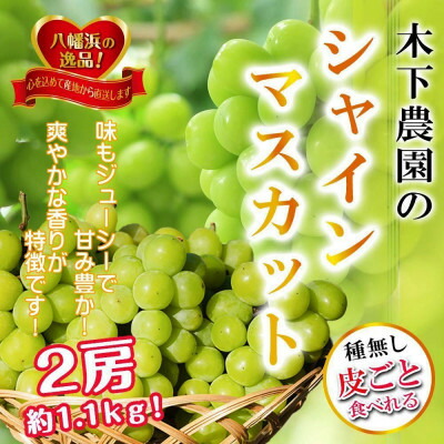 【ふるさと納税】2025年9月中旬発送開始　木下農園のぶどう「シャインマスカット」2房 【C39-19】【配送不可地域：離島】【1234154】